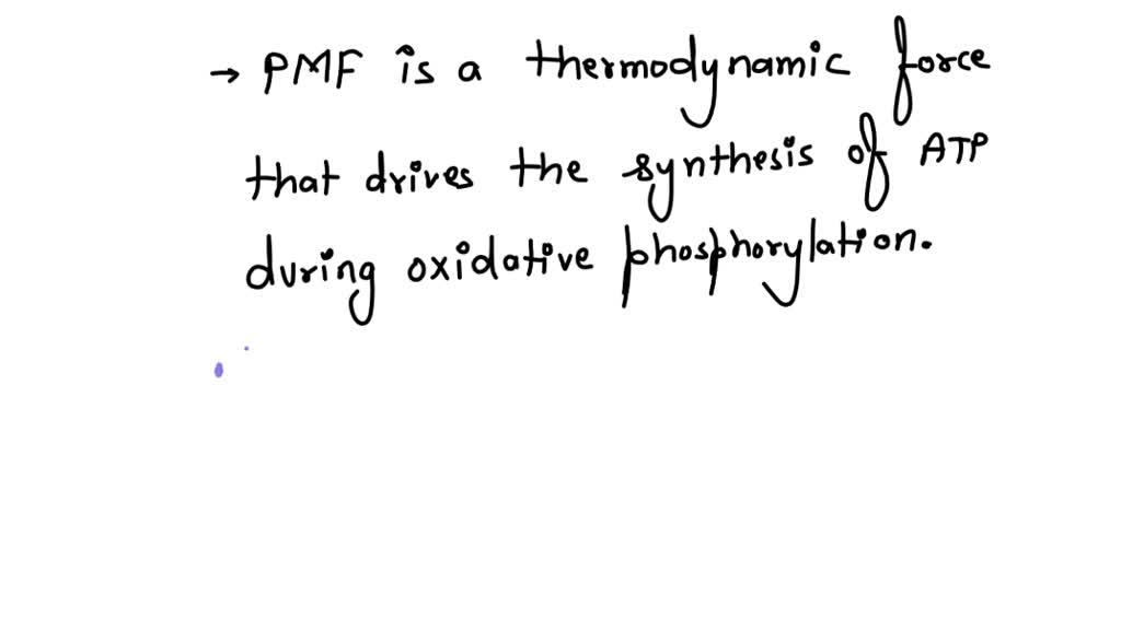 SOLVED: What is proton motive force? I am in biochemistry trying to ...