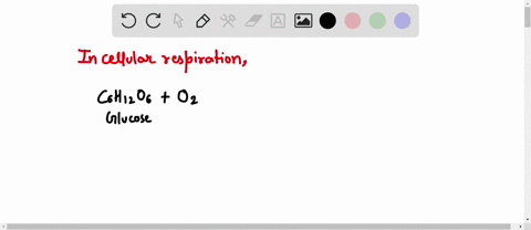 the-chemical-energy-made-during-cellular-respiration-is-called-93918