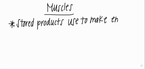 the-stored-products-used-to-make-energy-in-the-muscles-are-adp-and-glucose-pyruvic-acid-and-creatine-phosphate-cp-creatine-and-lactic-acid-glycogen-and-creatine-phosphate-cp-12481