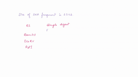 1a linear fragment of dna is cleaved with the individual...