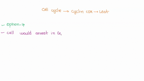 question-2-p53-inhibits-cyclin-cdk-to-control-progression-through-the-cell-cycle-b-what-would-happen-to-the-cell-cycle-if-cyclin-cdk-activity-were-lost-there-would-be-uncontrolled-cell-divis-58262