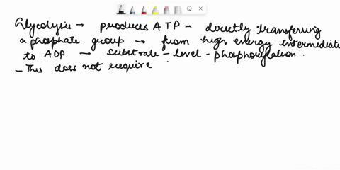 glycolysis-produces-atp-by-phosphorylation-of-atp-unlike-phosphorylation-that-is-driven-by-the-proton-motive-force-2ac-the-end-of-glycolysis-other-than-pyruvate-and-atp-che-molecule-contains-71364