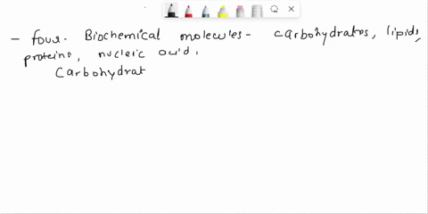 1-name-the-four-main-categories-of-biochemical-molecules-and-discuss-briefly-2-state-the-major-differences-among-trioses-tetroses-pentoses-hexoses-and-heptoses-3-compare-and-contrast-a-dehyd-81886