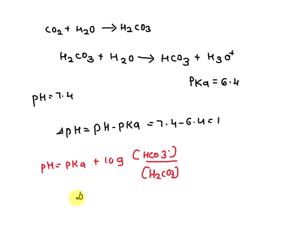 SOLVED: For the CO2 and bicarbonate (HCO3 - ) buffering system in the ...