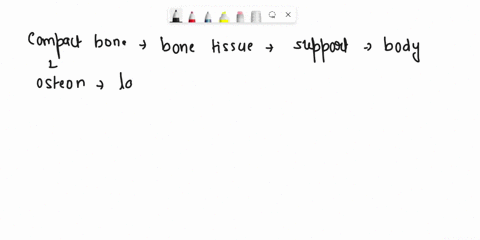 what-is-the-structural-unit-of-compact-bone-a-osteon-b-spongy-bone-c-lamellae-d-periosteum-08071