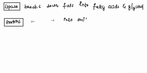 4-fill-in-the-following-chart-about-the-various-digestive-system-enzymes-encountered-in-this-exercise-5-name-the-end-products-of-digestion-for-the-following-macromolecules-proteins_-carbohyd-93336