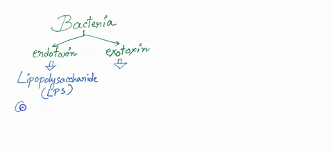 1page-8-you-are-logged-in-as-mohammed-a-alshaer-all-the-statements-regarding-toxins-produced-by-bacteria-are-true-except-select-one-toxoids-can-be-prepared-from-endotoxins-exotoxins-are-heat-35777