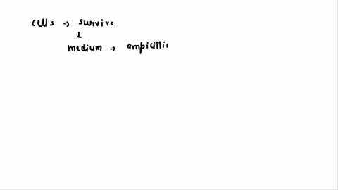 2-how-do-the-genetically-transformed-cells-survive-within-a-medium-that-contains-ampicillin-3-describe-what-you-would-see-on-the-four-plates-if-the-experiment-were-unsuccessful-4-calculate-t-33363