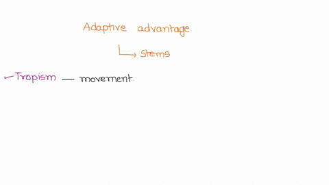 what-is-the-adaptive-advantage-or-evolutionary-advantage-being-conferred-on-a-plant-whose-stems-are-positively-phototropic-and-whose-roots-are-positively-gravitropic-35265