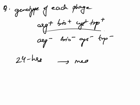 all-3-questions-have-the-same-answer-choices-as-question-3-you-have-three-unknown-bacteriophages-phage-a-phage-b-and-phage-c-to-learn-more-about-their-characteristics-youve-decided-to-first-89378