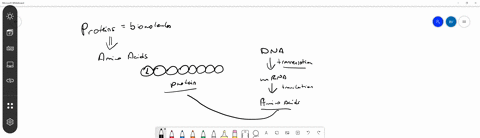 which-of-the-following-is-a-function-of-proteins-in-cells-a-energy-storage-b-gene-storage-and-access-c-membrane-fluidity-d-structure-3