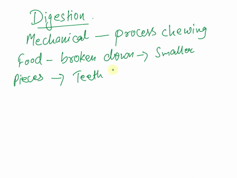 chemical-and-mechanical-digestion-begins-in-the-a-stomach-b-pharynx-c-esophagus-d-mouth-2-82775