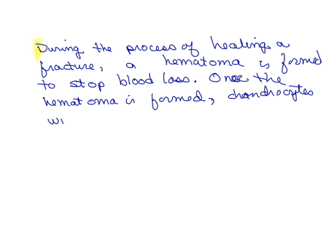 during-the-process-of-healing-a-fracture-a-hematoma-is-formed-to-stop-blood-loss-onc3-the-hematoma-is-formed-chondrocyt3s-will-create-the-epiphyseal-plate-soft-callus-hard-callus-no-answer-text-provid