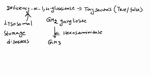 deficiency-of-the-lysosomal-enzyme-a-14-glucosidase-causes-tay-sachs-disease-true-false-20462