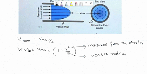 question-220-pts-wall-shear-stress-may-be-important-in-the-development-of-various-vascular-disorders-for-example-the-shear-stress-of-circulating-blood-on-endothelial-cells-has-been-hypothesi-74776