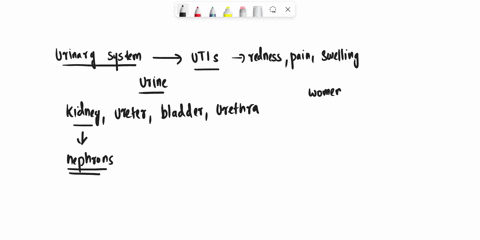 utis-were-very-common-throughout-history-including-queen-elizabeth-i-she-had-a-physician-that-would-test-her-urine-on-a-regular-basis-bacteria-do-find-their-way-into-the-urethra-leading-to-i-5358