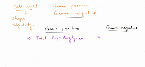 which-of-the-following-cell-wall-components-is-unique-to-gram-negative-cells-a-lipopolysaccharide-b-02236