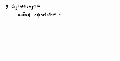 phylum-asexual-reproduction-accomplished-via-name-describe-the-isexual-reproductive-strucutures-flagellated-swimming-gametes-labelled-sketch-of-sexual-ispore-producing-structure-chytridiomyc-30315