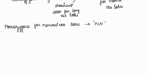 assume-that-long-ear-lobes-in-humans-are-an-autosomal-dominant-trait-that-exhibits-30-penetrance-a-p-45418