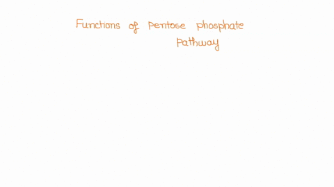 what-are-the-functions-of-the-pentose-phosphate-pathway-select-all-that-apply-formation-of-nadph-formation-of-three-and-six-carbon-intermediates-of-glycolysis-synthesis-of-pentose-sugars-for-68444