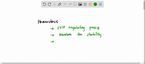 which-of-the-following-best-illustrates-homeostasis-explain-your-answer-a-most-adult-humans-are-betw-05219