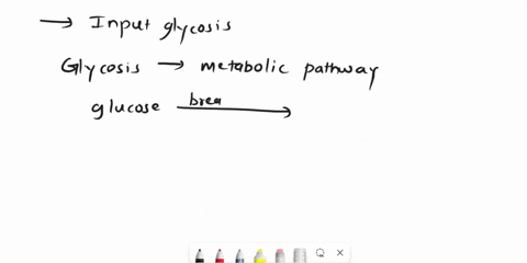 what-is-an-input-of-glycolysis-anadh-b-oxygen-c-pyruvate-datp-eco2-what-is-an-input-of-aerobic-respiration-a-atp-b-co2-c-h2o-d-pyruvate-e-glucose-what-is-an-output-of-aerobic-respiration-a-o-6938