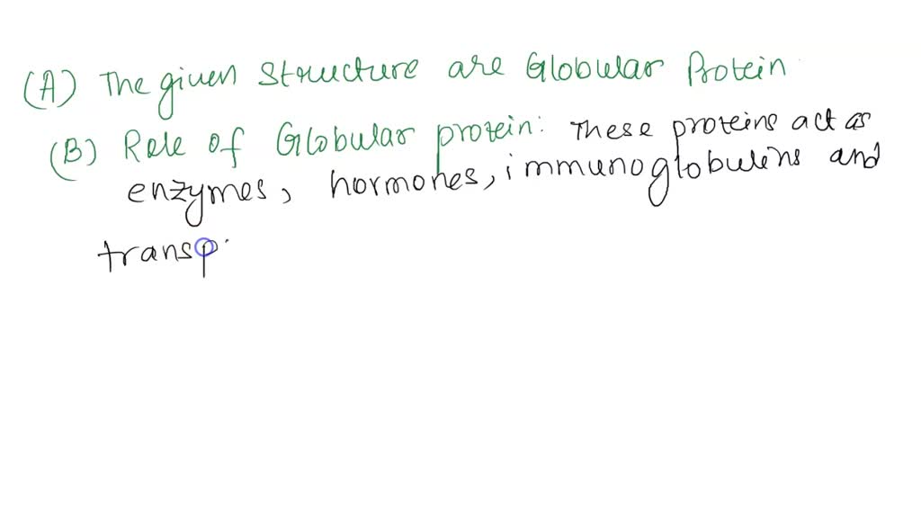 Prolein SOLVED: The picture below shows the structure of protein This protein ...