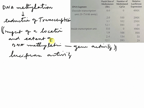 commonly-associated-with-reduction-of-transcription_-the-following-data-10-points-dna-methylation-come-from-study-of-the-impact-ofthe-location-and-extent-of-dna-methylation-on-gene-activity-63074