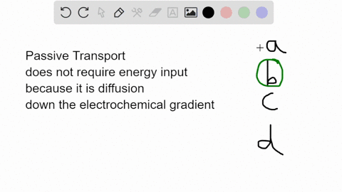 which-of-the-following-is-not-an-example-of-passive-transport-the-movement-of-water-through-the-membrane-channel-aquaporin-na-ions-being-pumped-out-of-the-cell-the-movement-of-glucose-across-33568