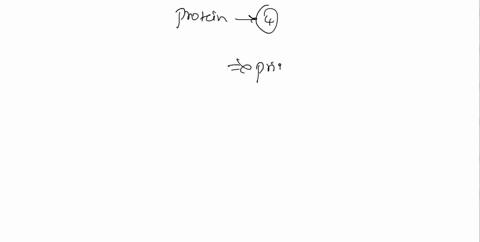 17-in-your-own-words-describe-the-4-levels-of-protein-organization-95737