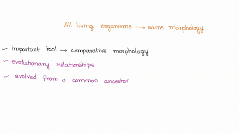 instructions-design-an-experiment-to-prove-that-all-living-organisms-have-the-same-morphology-use-material-from-lecture-week-5-to-design-experiment-make-sure-to-clear-state-all-6-parts-when-48009