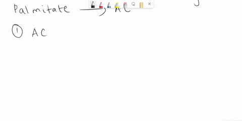 which-of-these-key-enzymes-for-fatty-acid-metabolism-catalyzes-the-commitment-step-for-fatty-acid-synthesis-choose-one-a-fatty-acyl-coa-synthetase-carnltine-acvltransferase-acetyl-coa-carbox-69844