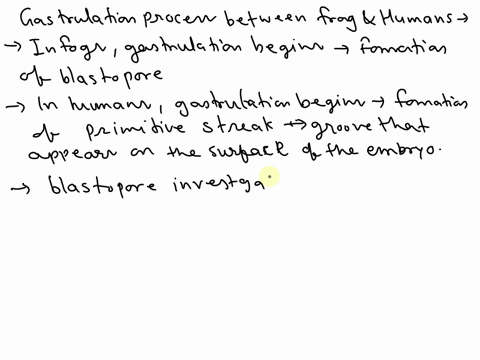 differentiate-the-gastrulation-process-between-frog-and-human-89754