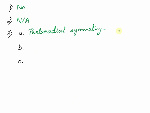 consider-all-animals-in-the-phylum-echinodermata-to-answer-the-following-questions-1-is-segmentation-apparent-in-the-animals-in-the-echinoderms-yes-or-no-2-if-segmentation-is-apparent-in-the-13663