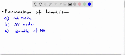 pacemaker-of-heart-is-a-sa-node-b-av-node-c-bundle-of-his-d-purkinje-fibres-52282