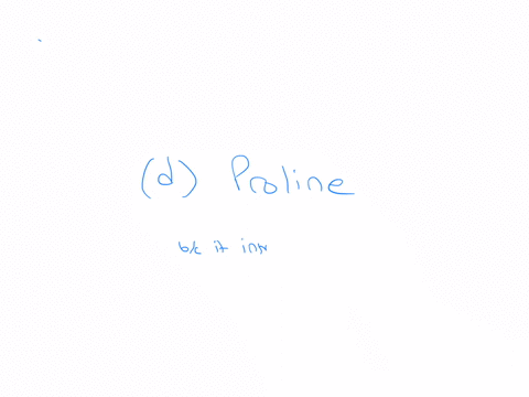the-amino-acid-found-in-protein-structure-select-one-histidine-arginine-c-lysine-d-proline-90998