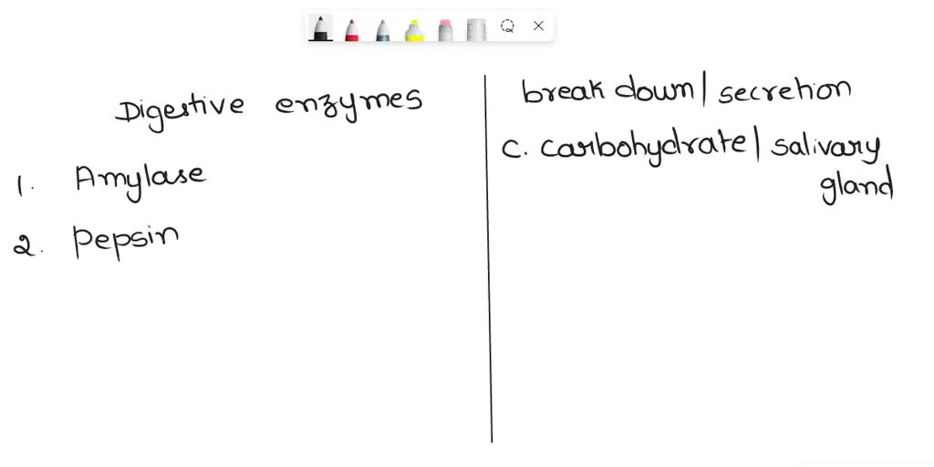 SOLVED: A. Nuclease, Trypsin, Lipase, Pepsin, Amylase. Match The ...