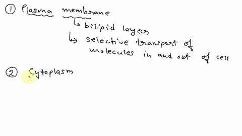 the-plasma-membrane-performs-all-of-the-following-functions-except-regulating-flow-of-materials-into-and-out-of-the-eell-facilitating-protein-synthesis-providing-barrier-facilitating-communi-30636