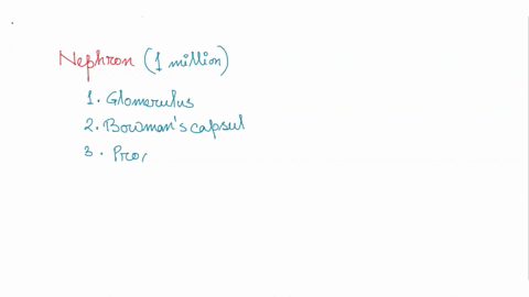 in-what-part-of-the-kidney-can-glucose-be-removed-from-the-filtrate-the-ascending-loop-of-henle-the-descending-loop-of-henle-the-proximal-tubule-the-collecting-duct-macboo-27816