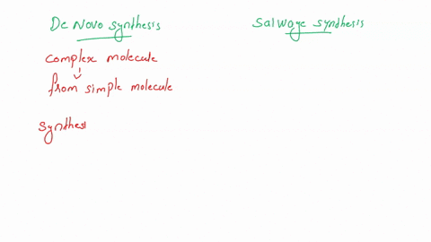 compare-and-contrast-the-de-novo-and-salvage-pathways-for-phospholipid-synthesis-10-marks-19877