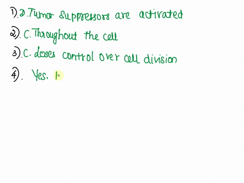 1-when-cells-are-stimulated-to-divide-a-proto-oncogenes-are-inactivated-b-oncogenes-become-proto-oncogenes-c-tumor-suppressors-are-inactivated-d-tumor-suppressors-are-activated-2-the-protein-46437