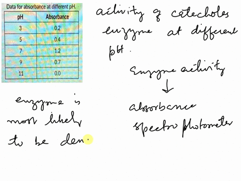 you-conduct-an-experiment-to-see-how-ph-affects-catecholase-enzyme-activity-you-conduct-the-experiment-at-a-ph-of-3579and-11and-measure-the-reaction-rate-at-each-ph-by-recording-the-absorban-95038