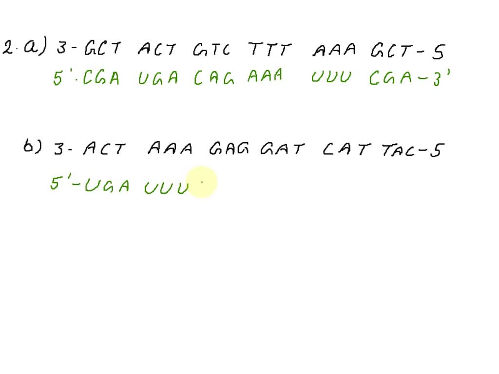 SOLVED: Gene expression (TRANSCRIPTION) Given the following DNA ...