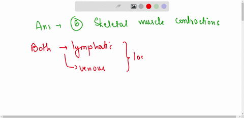 both-lymph-and-venous-blood-flow-are-heavily-dependent-on-a-pumping-action-of-the-heart-b-skeletal-muscle-contractions-c-contraction-of-the-veins-themselves-d-two-way-valves-23789