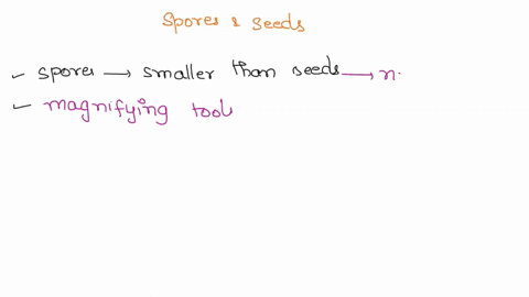 what-are-the-similarities-and-the-differences-between-seeds-and-spores-90216