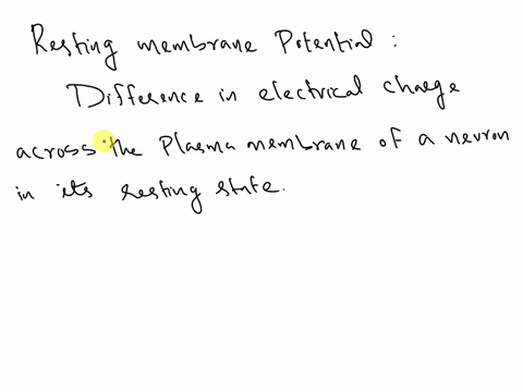 resting-membrane-potential-depends-on-differential-distribution-of-ions-across-the-axon-membrane-bul-14485