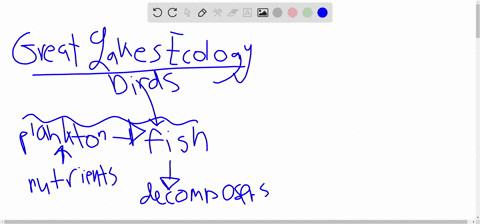 424-illustrate-the-aquatic-food-chain-in-the-great-lakes-ecosystem-and-describe-the-local-importance-of-aquatic-ecology-425-list-limiting-factors-to-freshwater-algae-growth-01472