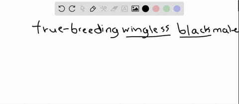 you-now-take-an-f1-female-and-cross-her-to-a-true-breeding-black-wingless-male-this-males-genotype-is