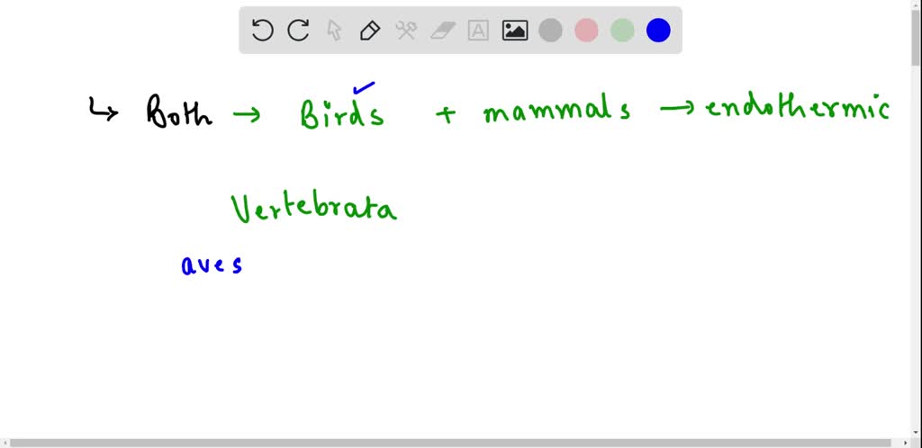 SOLVED: Which characteristics do birds and mammals share? Check all