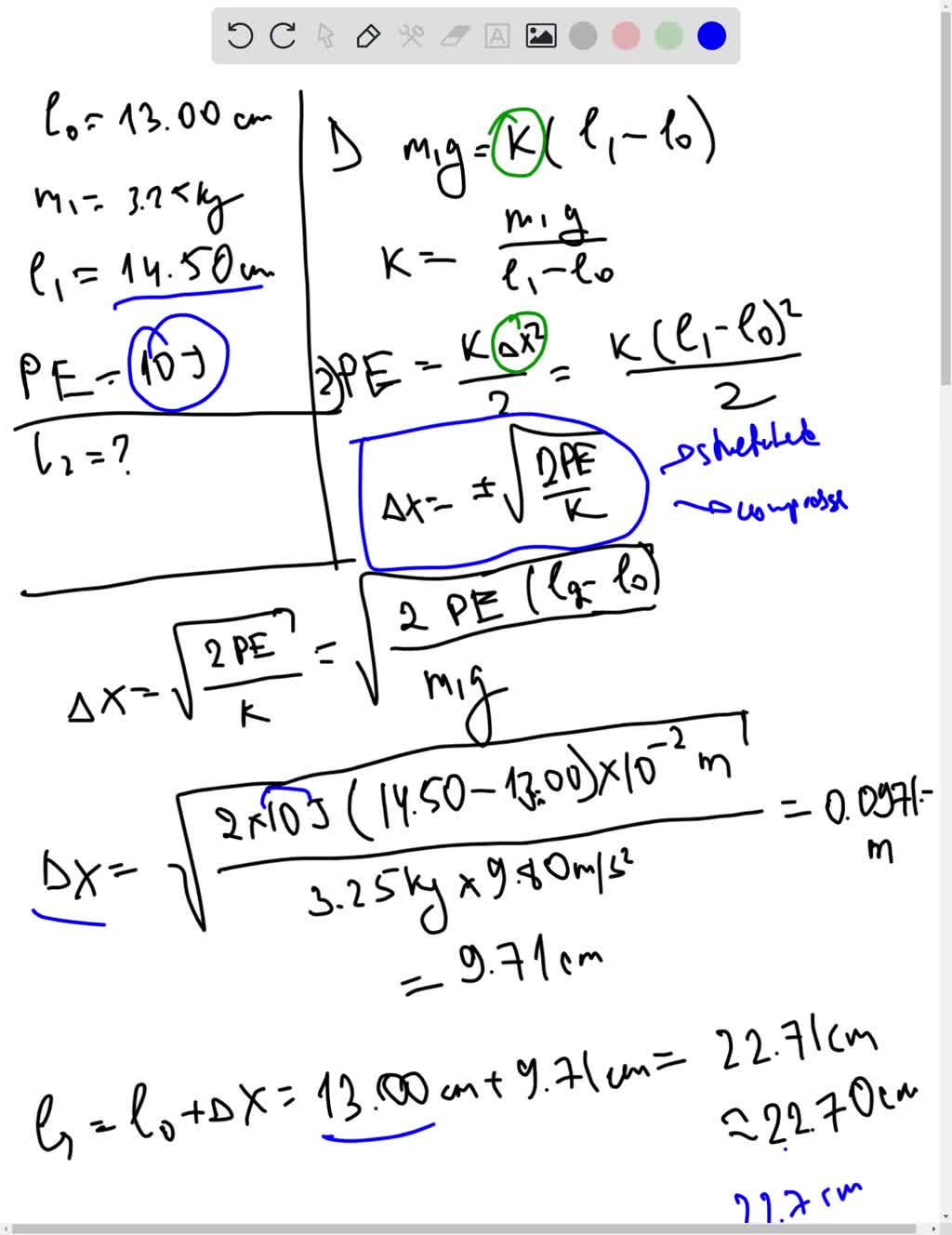 SOLVED: An Ideal Spring Of Negligible Mass Is 13.00 Cm Long When ...